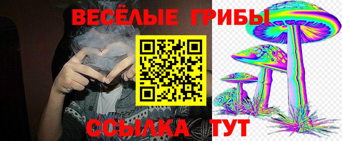 Псилоцибиновые грибы ЛСД  Вход с VPN  Галлюциногенные грибы Cubensis  купить закладку  Бугульма 