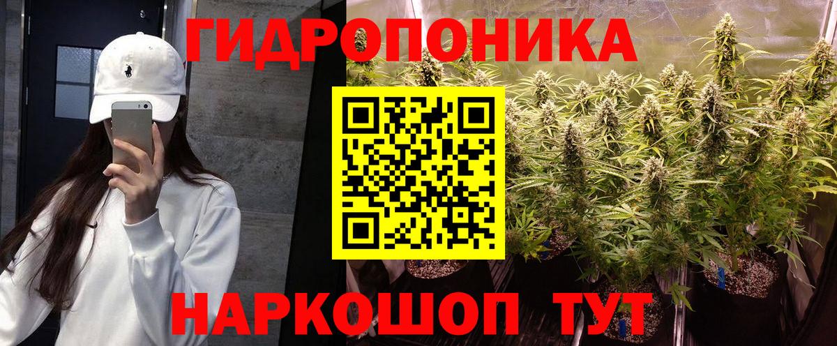 Шишки марихуана VHQ  Канабис планчик  Каннабис MAZAR  Бугульма  Вход с VPN 